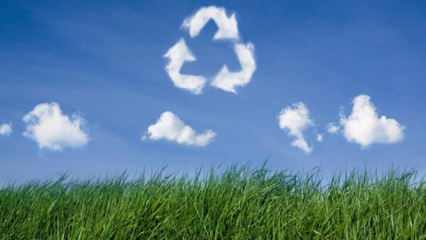 Environmental Policy